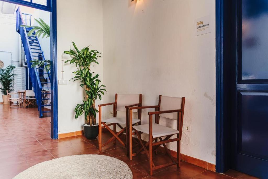 Ashavana Nest Hostel El Medano  Luaran gambar