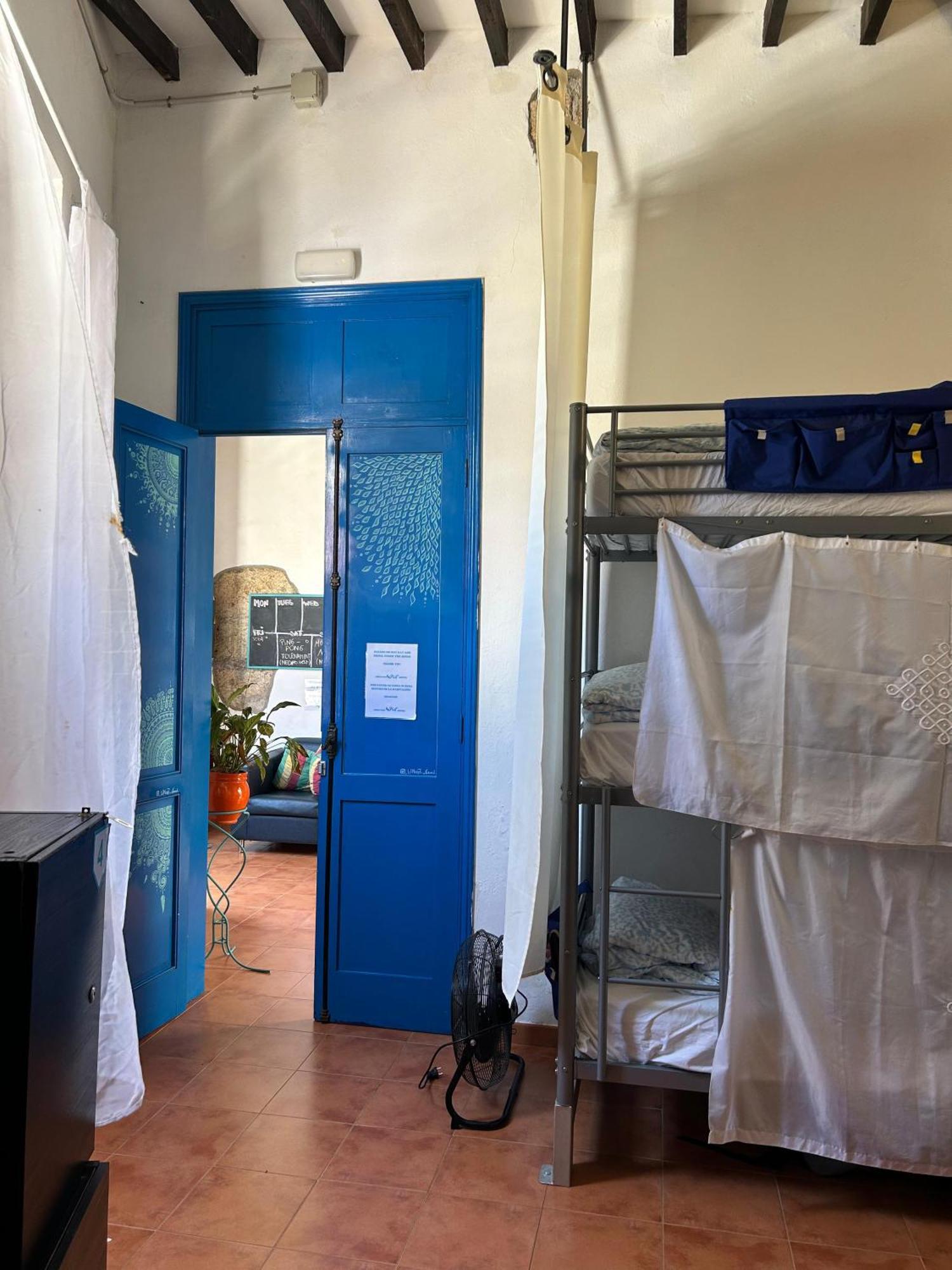 Ashavana Nest Hostel El Medano  Bilik gambar